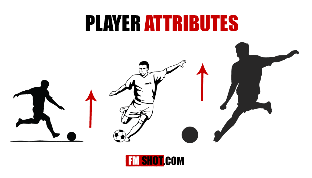 Players Development